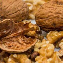 Ψίχα καρυδιού Chandler πεταλούδα Δομοκός Φθιώτιδα