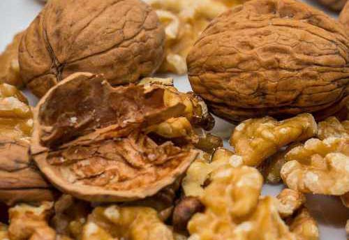 Ψίχα καρυδιού Chandler πεταλούδα Δομοκός Φθιώτιδα