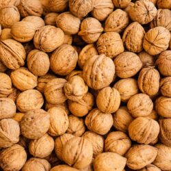 Καρύδια Chandler άσπαστα Δομοκού Φθιώτιδα Φάρμα Ματίκα