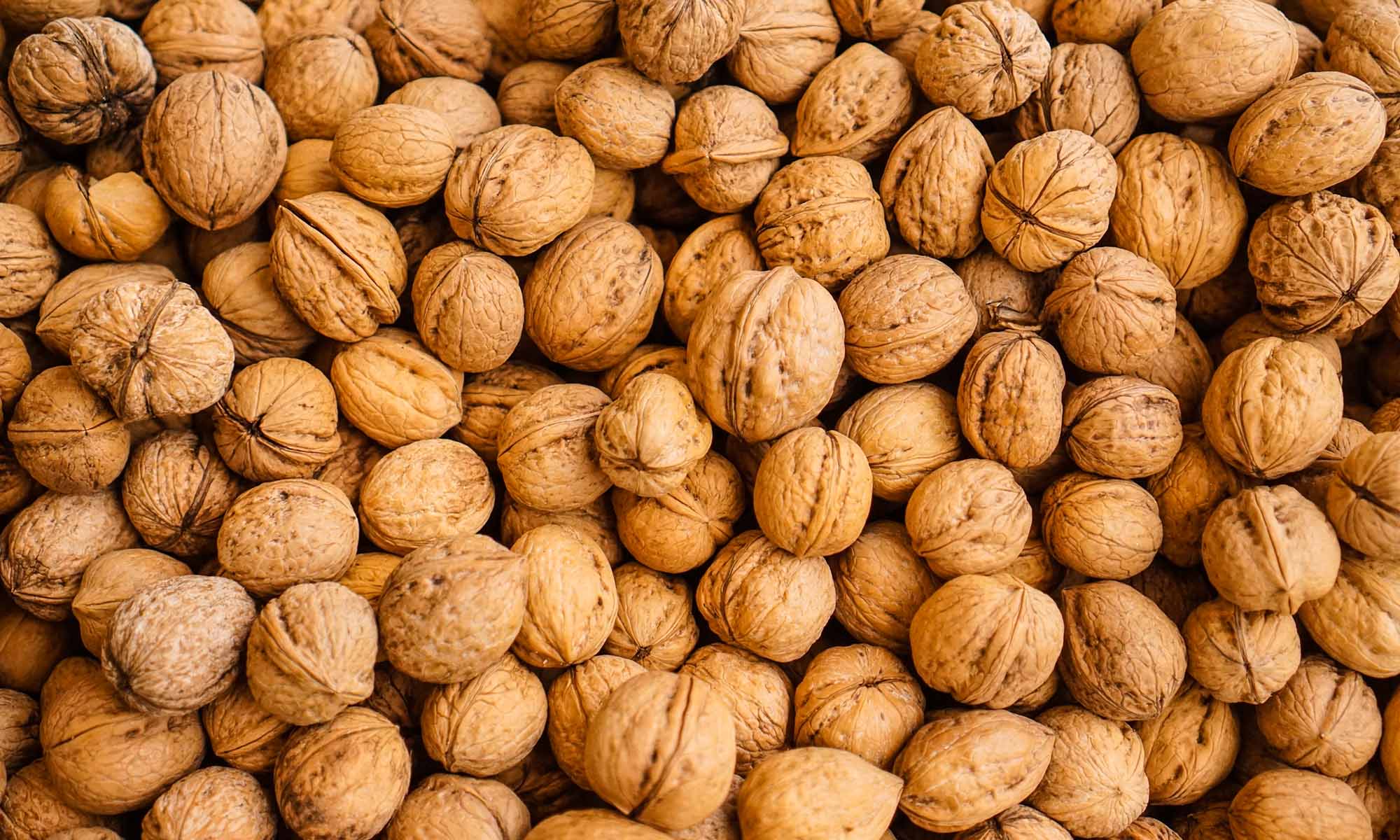 Καρύδια Chandler άσπαστα Δομοκού Φθιώτιδα Φάρμα Ματίκα